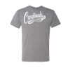 Triblend T-Shirt Thumbnail