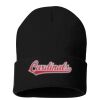 12" Solid Cuffed Beanie Thumbnail